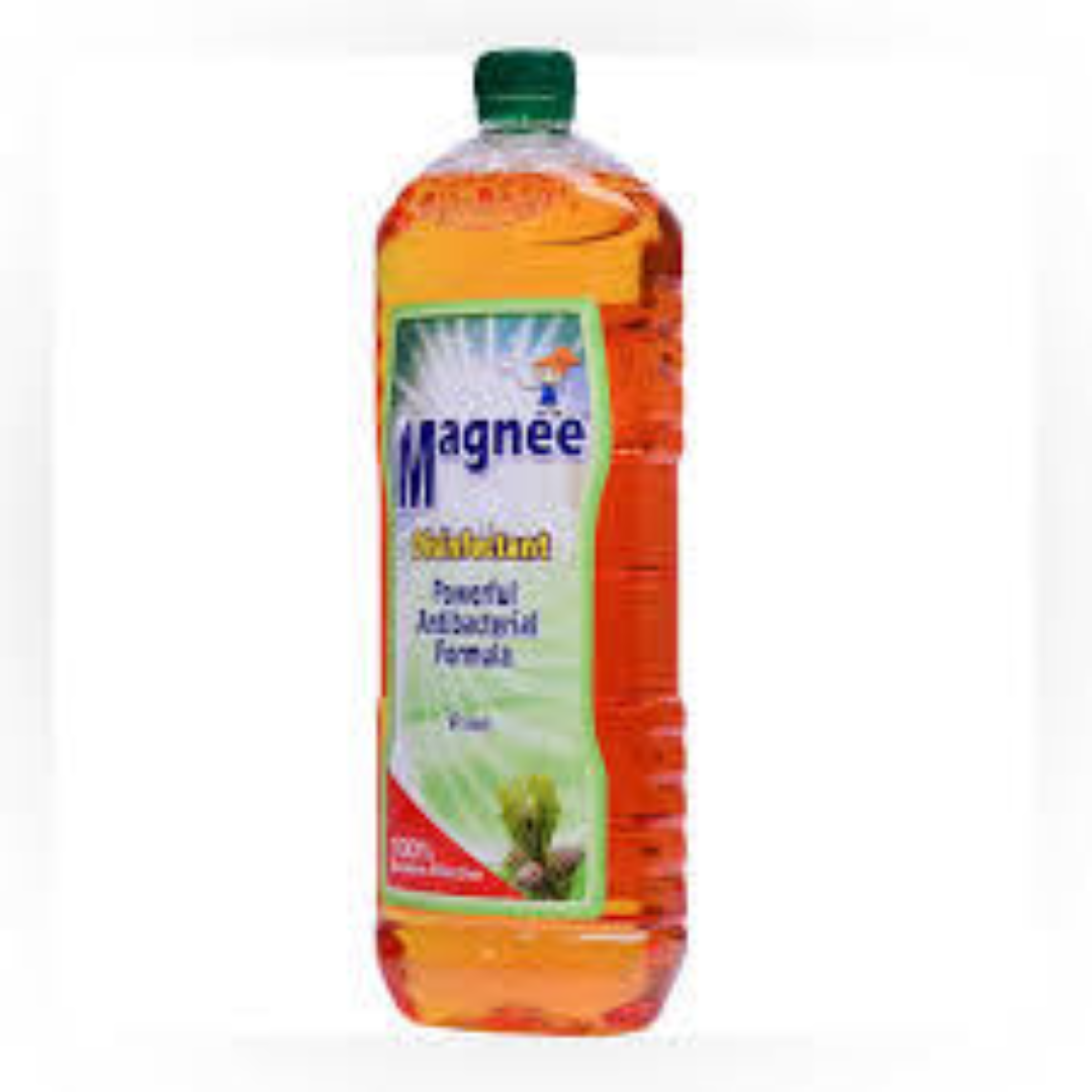MAGNEE DISINFECTANT SPRAY PINE 530ML